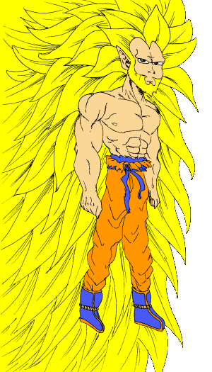 Sangoku dans sa 4eme transformation