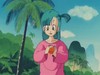 Cliquez pour voir en grand db003-culotte2-01