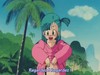 Cliquez pour voir en grand db003-culotte2-04