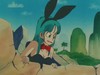 Cliquez pour voir en grand db008-paf-paf-04