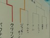 Cliquez pour voir en grand db022-tableau2
