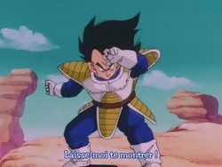 dbz030-positions1