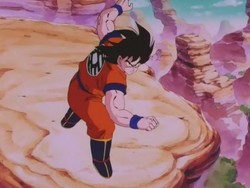 dbz030-positions2