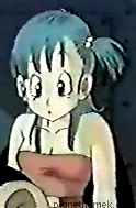 (Bulma Brief)